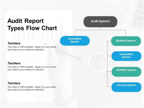 Audit Report Types Flow Chart Presentation Graphics Presentation