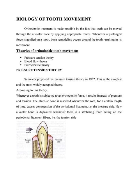 Biology Of Tooth Movement Biology Of Tooth Movement Orthodontic Treatment Is Made Possible By