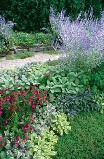 Sage Varieties: Growing Tips and Recipes - Mother Earth Living