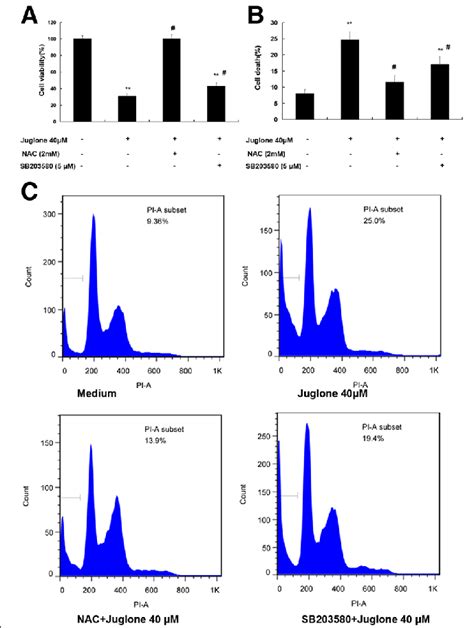 Pretreatment With Nac And Sb Could Reverse Jugloneinduced