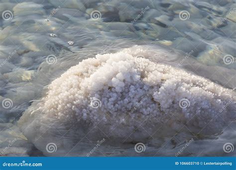 Dead Sea Salt Deposits Stones Stock Photo - Image of fingers, beauty ...