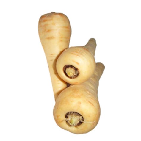 EvroFresh - овощи и грибы оптом