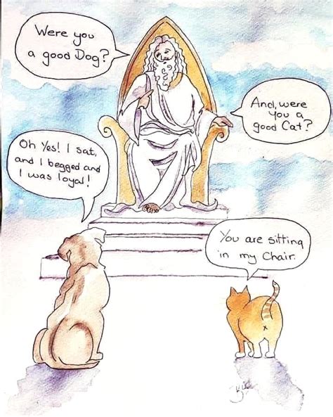 Cat News? | Page 25 | Audio Science Review (ASR) Forum