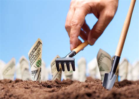 660+ Raking Money Stock Photos, Pictures & Royalty-Free Images - iStock