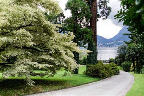 Italy Same Sex Destination Wedding