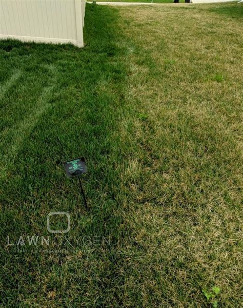 Lawn Treatment Ankeny Ia Lawn Care Services Lawnoxygen