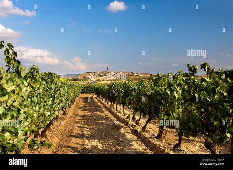 La Rioja Spain Hi Res Stock Photography And Images Alamy