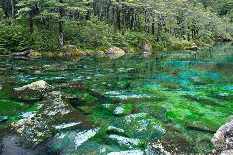 Blue Lake Nelson Lakes National Park The Clearest Water I Flickr