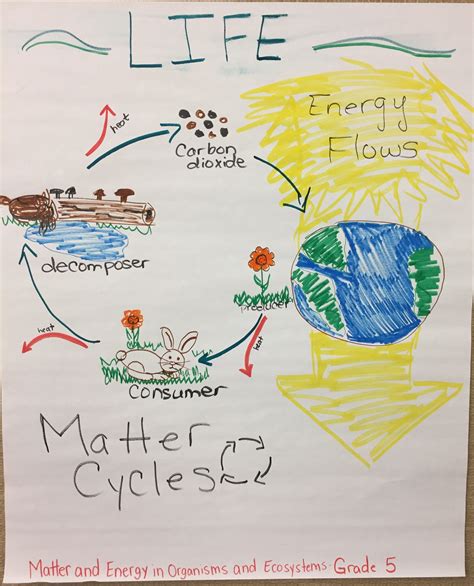 Matter and Energy in Life — The Wonder of Science