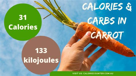 Calories And Carbs In Carrot · Calcount