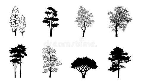 Black Branch Tree Or Naked Trees And Root Silhouettes Set Hand Drawn Isolated Illustrations