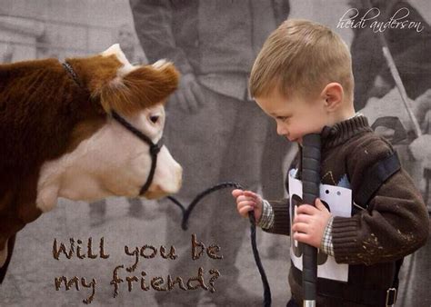 17 Best images about Show Cattle :) on Pinterest | Show steers, Show ...