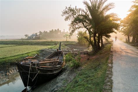 Deer oh deer a travel guide to nijhum dwip island – Artofit