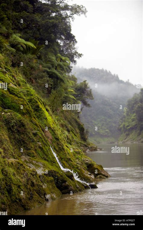 Whanganui River Ruapehu District New Zealand Stock Photo Alamy