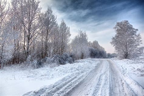 Winter road stock image. Image of blue, cloudless, tree - 14805061