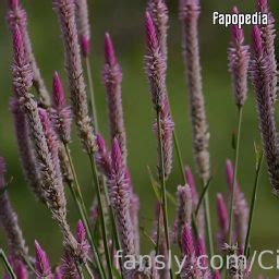 Cinderella Girl Nude OnlyFans Leaks Photo Fapopedia