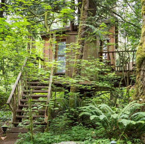 20 Most Romantic Diy Treehouses That Your Dream Obsigen