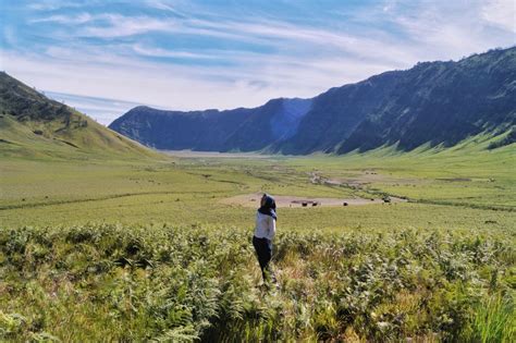 Bukit Teletubbies Bromo Nikmati Daya Tarik Indahnya Padang Savana