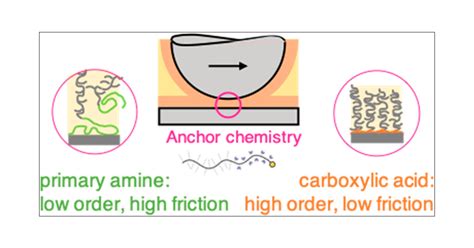 Polymeric Friction Modifiers: Influence of Anchoring Chemistry on Their ...