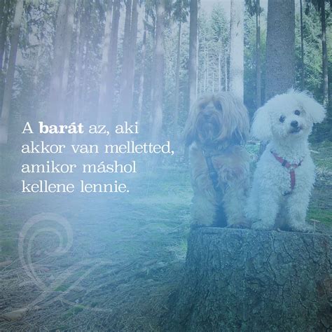 idézet a barátságról, barát, szeretet | Bff quotes, Life quotes, Bff