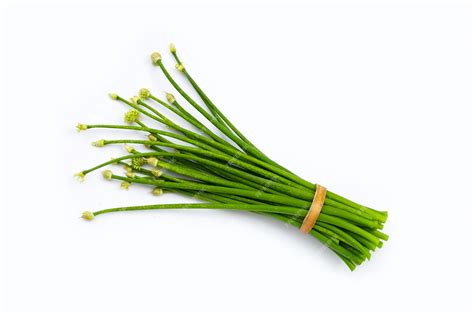 Premium Photo Chives Flower Or Chinese Chive On White