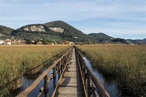 I Luoghi Dalla Lucchesia Alla Versilia Un Cammino Tra Arte Storia