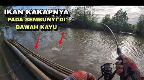 MANCING IKAN KAKAP PUTIH DI SPOT KAYU TERAPUNG YouTube