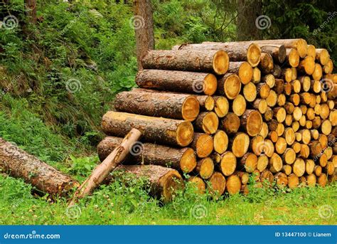 Stack Of Wood Stock Photo Image 13447100