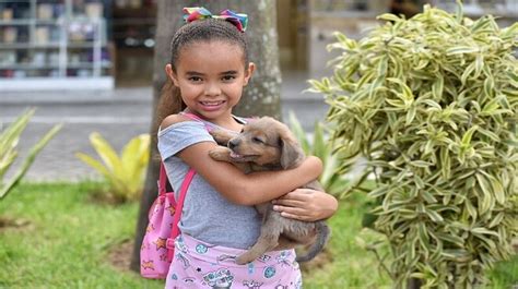 Feira de adoção de cães e gatos consegue novo lar para 22 animais em