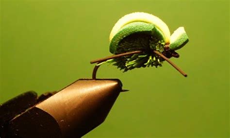 killer beetle fly pattern  stockard fly fishing