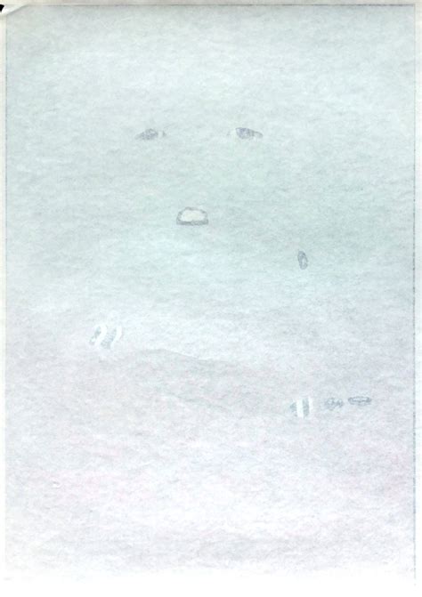 Sex Pistols Clash Damned Original Anarchy Tour Concert Poster