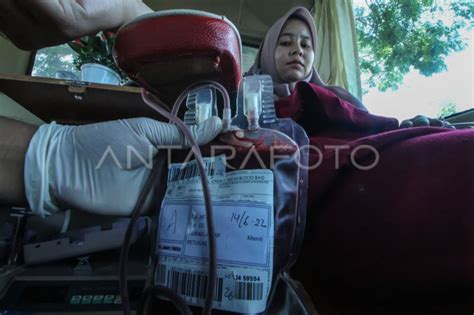 Hari Donor Darah Sedunia Antara Foto