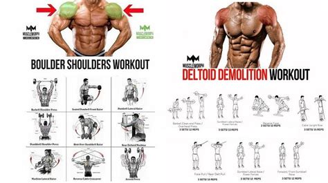 Shoulder Workouts The Complete Guide To Delts Training Shoulder