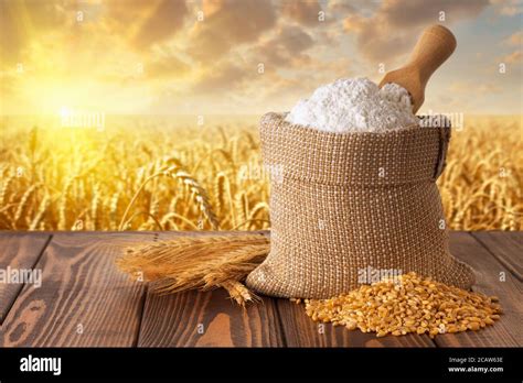 Sack Of Corn Hi Res Stock Photography And Images Alamy