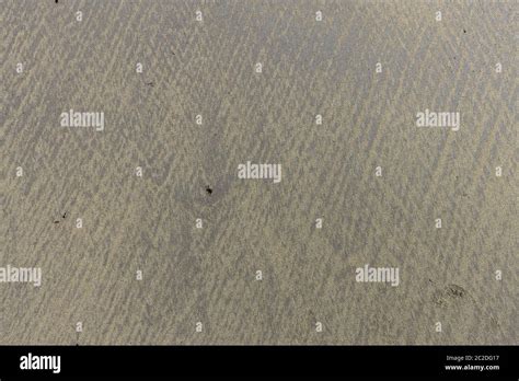 sand  surface  background stock photo alamy