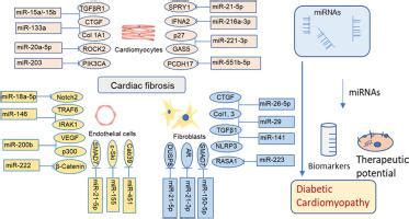 MicroRNA Targets And Biomarker Validation For Diabetes Associated