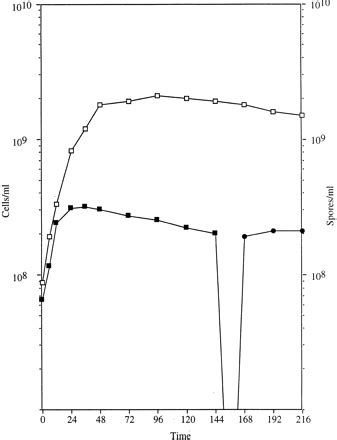 The Stringent Response In Myxococcus Xanthus Is Regulated By Soce And