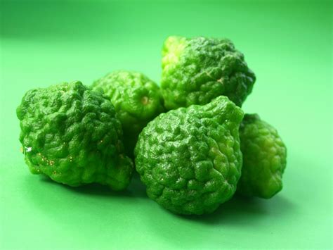 Bergamot Fruit Free Stock Photo - Public Domain Pictures
