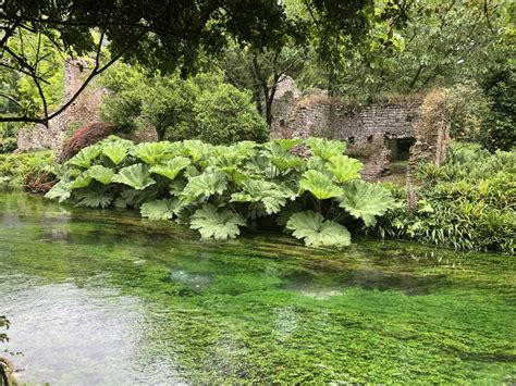 Visitare I Giardini Di Ninfa Latina Viaggiatrice Da Grande