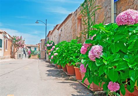 15 Best Things to Do in Marsala (Italy) - The Crazy Tourist