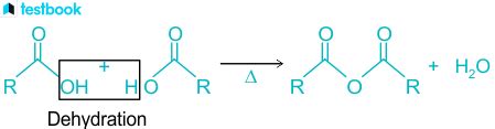 Acid Anhydride: Definition, Formula, Examples and Structure