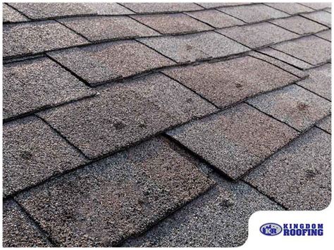 Everything You Need To Know About Asphalt Shingle Blistering Kingdom Roofing Services