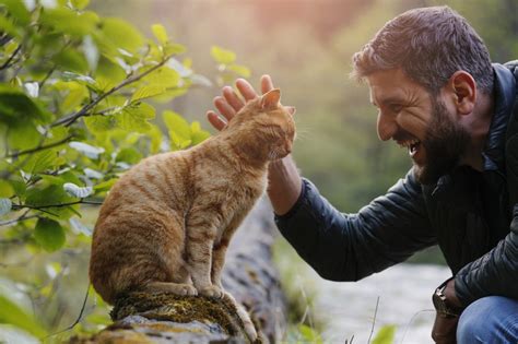 I gatti amano miagolare agli umani Ora sappiamo perché La Stampa