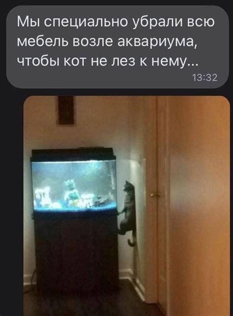 Аквариум | Пикабу