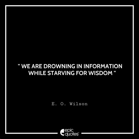 Best E O Wilson Quotes On Nature And Ecology