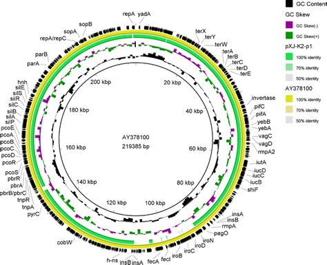 Comparative Plasmid Map Comparing Typical Virulence Plasmid Plvpk