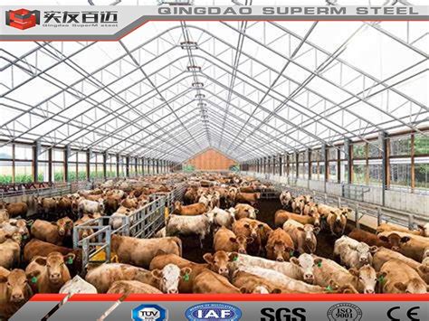 Prefab Warehouse Steel Structure Sheep Cow Cattle Building Farm Shed