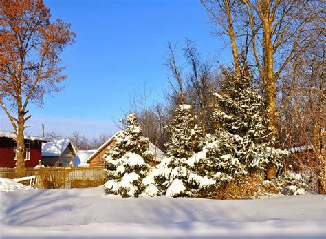 ABC Russian: Russian village in winter. Photos.