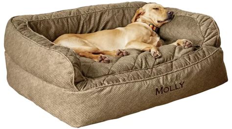 Dog Beds | Give a Comfortable Nap to Your Dog