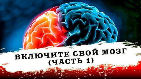 Аудиокнига «Включите свой мозг» - Кэролайн Лиф (часть 1) - YouTube